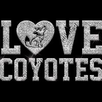 GLT51 SILVER GLITTER Thumbnail