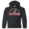 18500B Youth Heavy Blend Hooded Sweatshirt Thumbnail